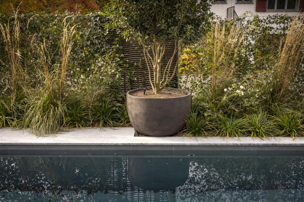 Hub — 2