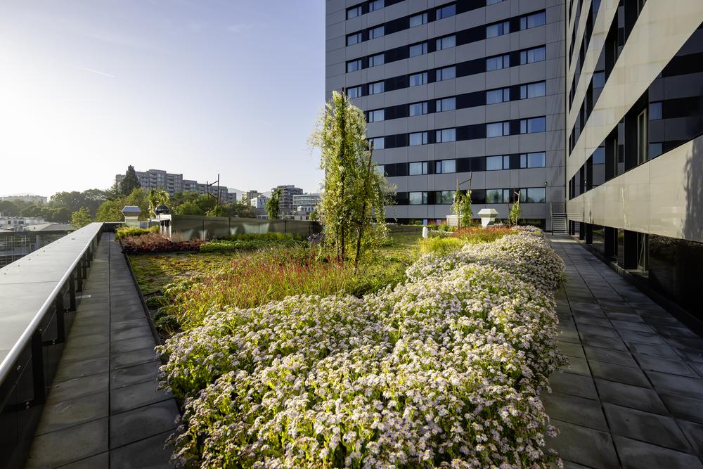 Marriott — 3